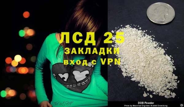 сатива Арсеньев